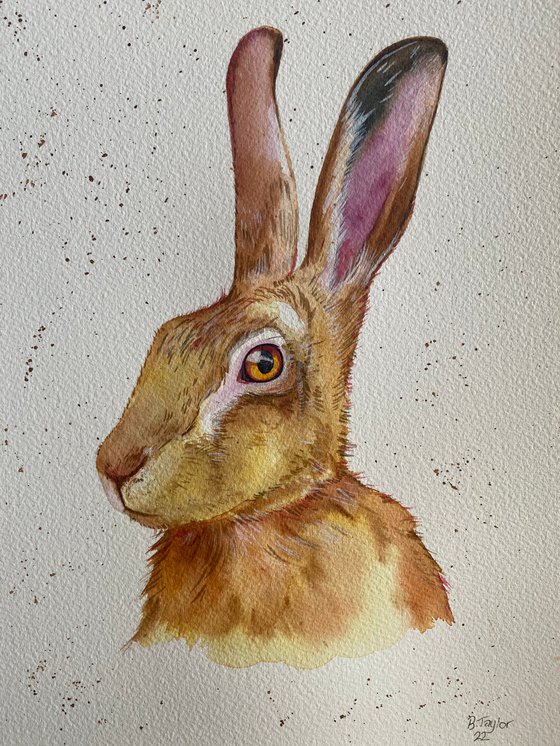 Hare watercolour painting