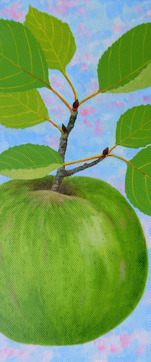 A Bramley Apple by Ruth Cowell