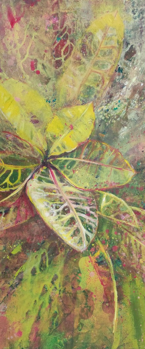 Croton in yellow by Olga Onopko