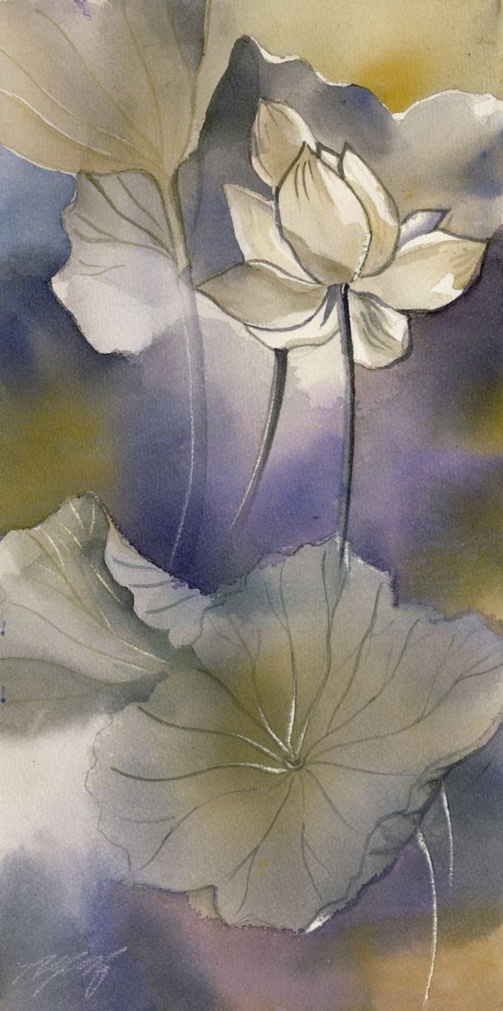 lotus in mist