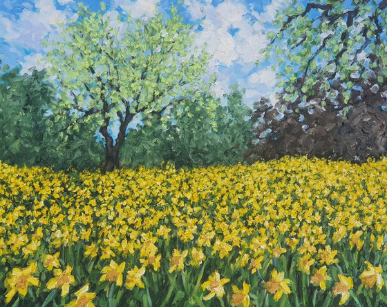 'A host of golden daffodils '