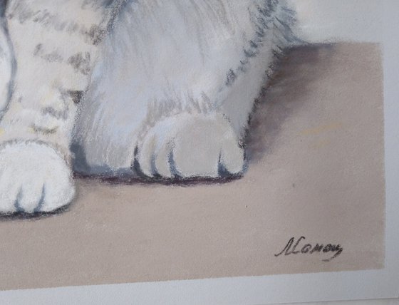 A Cat's Portrait. Emerald Eyes