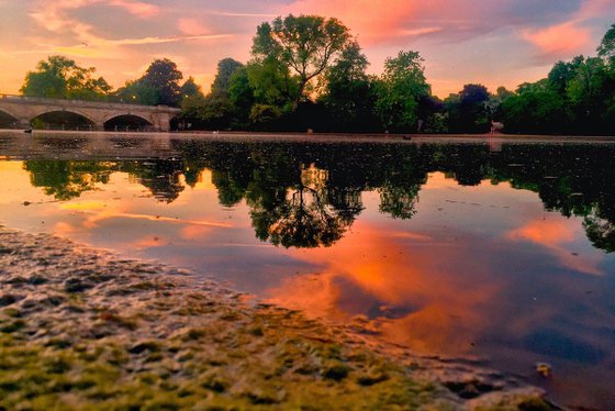 A summers evening : Hyde park  1/50 12"X8"