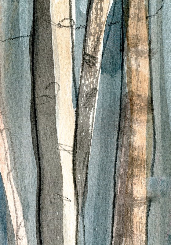WINTER BIRCHES