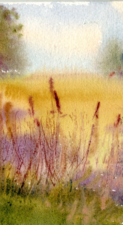 The summer field near Cuckoo Line, England by Tanya Sun