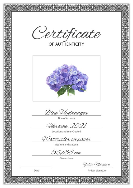 Blue Hydrangea