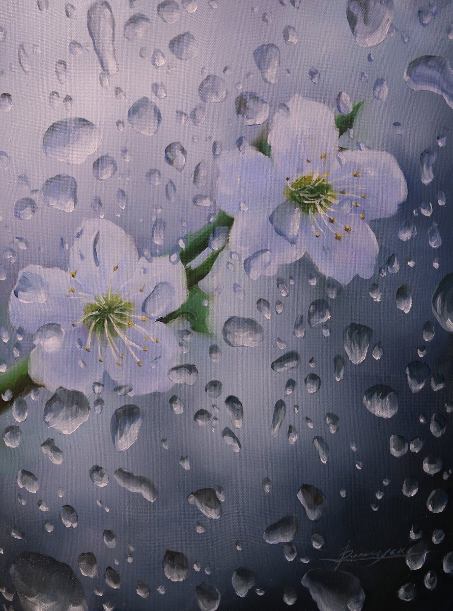 Raindrops by Gennady Vylusk