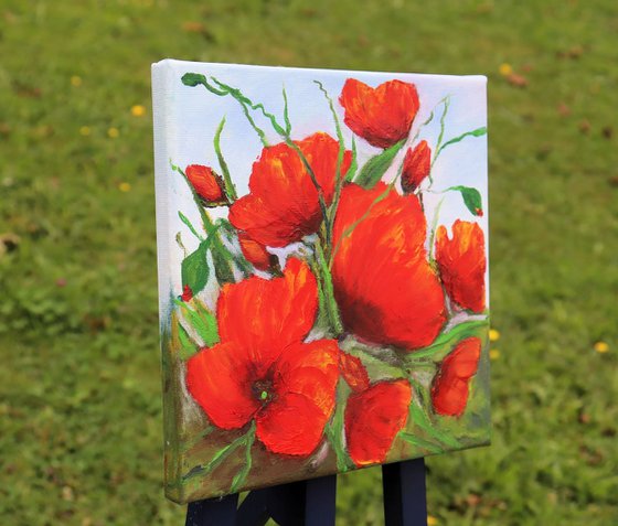 Red poppies flowers