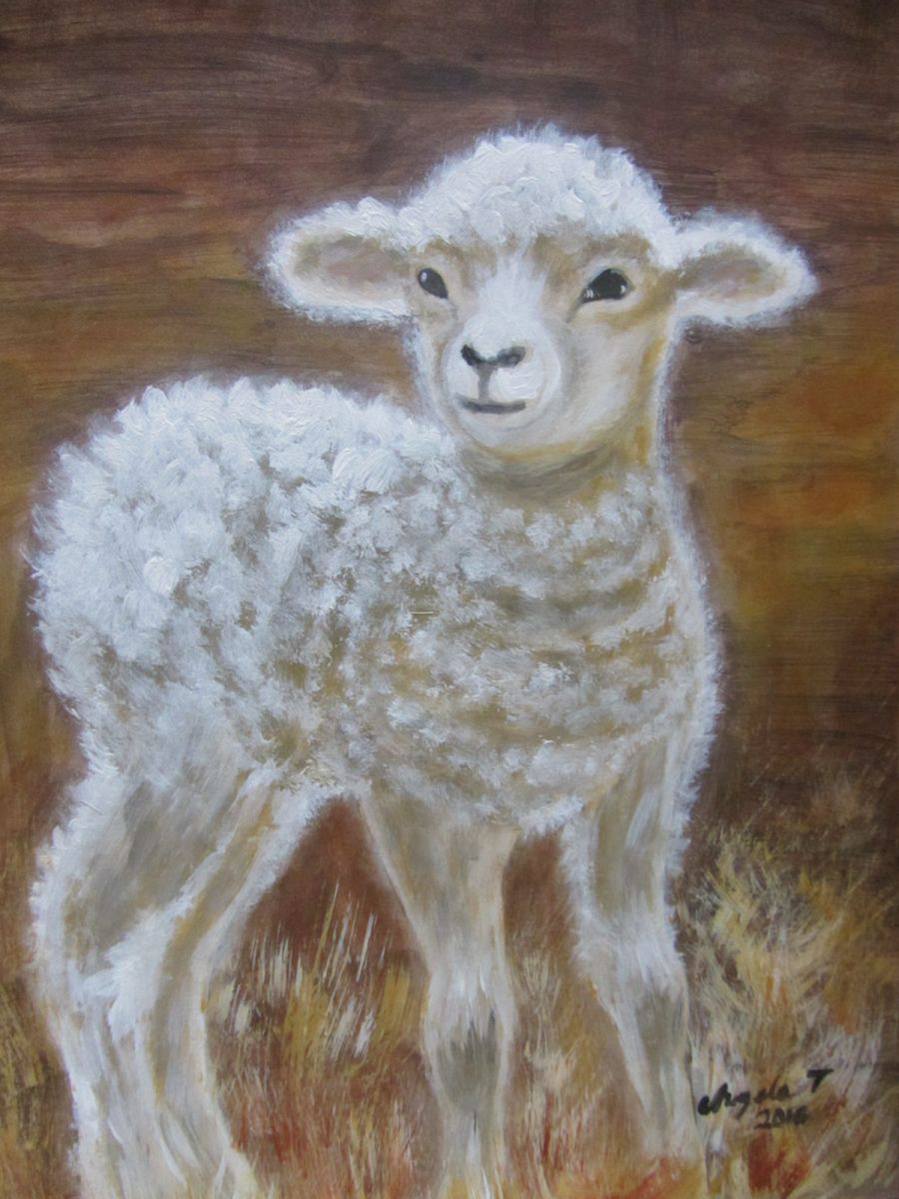 Lamb Acrylic Painting By Angela Titirig Artfinder