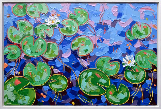 Tasman Lily Pond 28