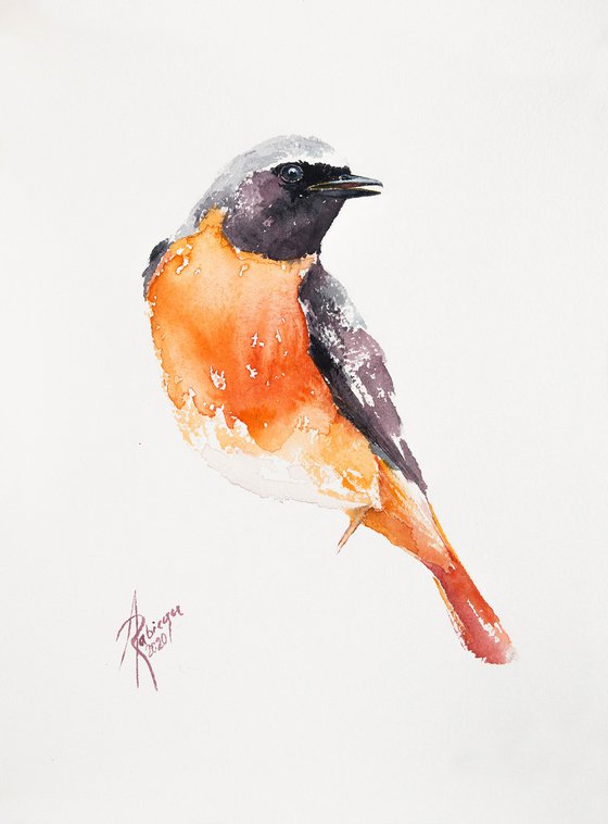 Redstart