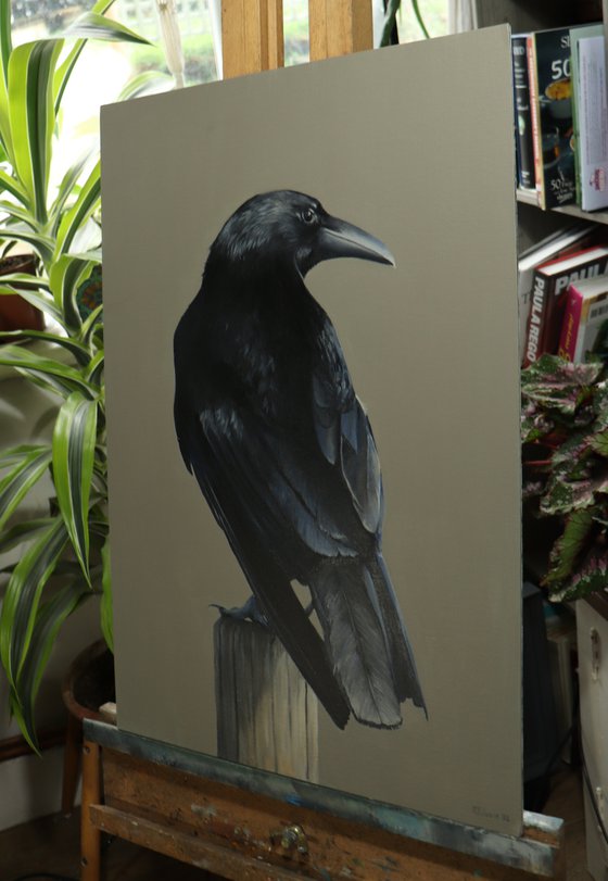 Crow, Portrait of a Black Crows, Oil Painting, Bird Artwork, Animal Art Original, Not Print