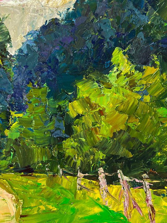 A Road along a Summer Forest