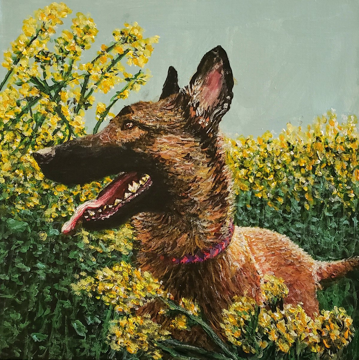 Malinois Amongst Flowers by Robbie Potter