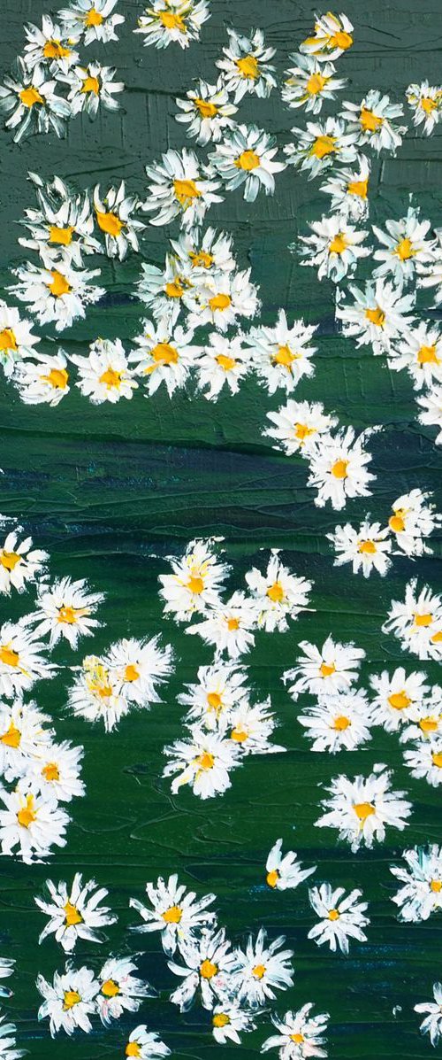 Daisies by Daniel Urbaník