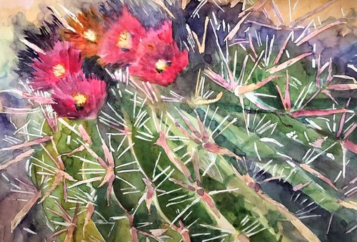 Blooming Cactus by Bronwen Jones