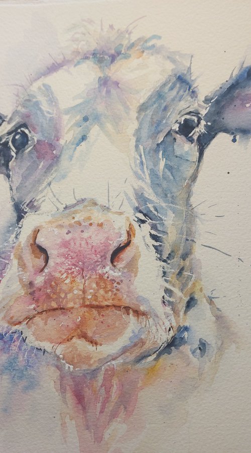 Pretty cow by Sue  Green