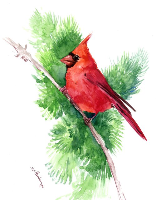 Red Cardinal Bird on the Pine by Suren Nersisyan