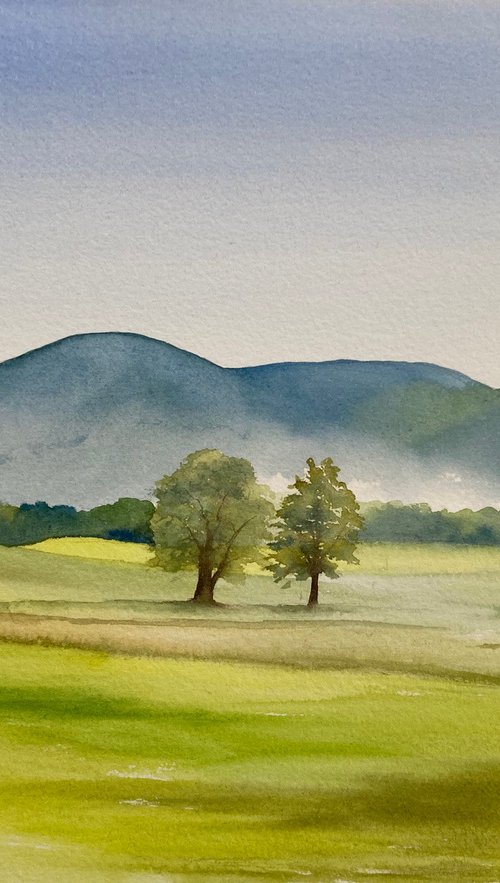 Mist on the hills by Silvie Wright