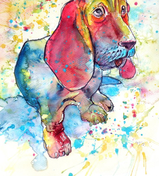 Cute basset hound