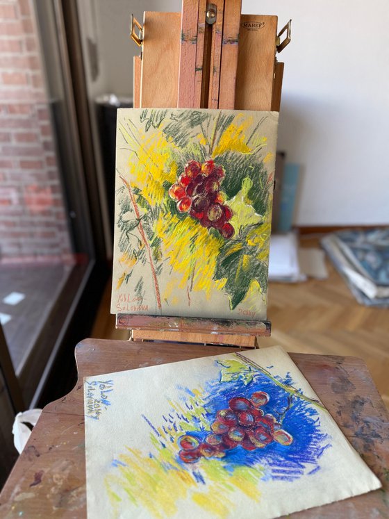 Grapes in Sunlight  plein-air