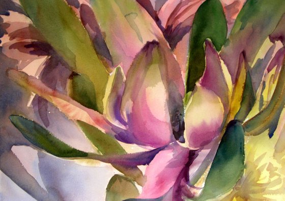 Sunset Protea I