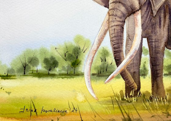 Majestic Elephant in Savanna