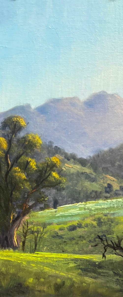 Elders Range Flinders by Christopher Vidal