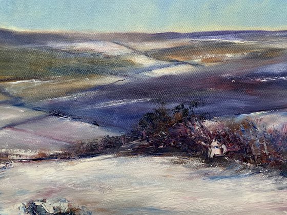 Winter Moor