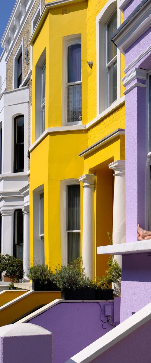 Vitamin D by Gilliard Bressan