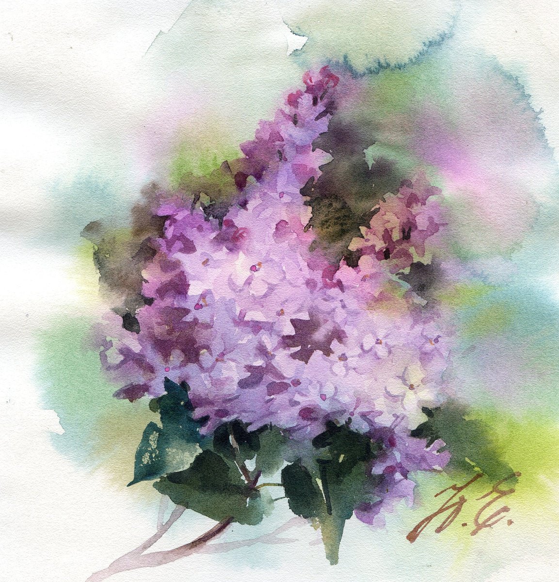 Spring blossom, Lilac in watercolor by Yulia Evsyukova