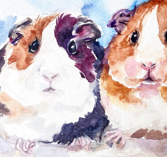 Guinea Pigs Jerry and Jo