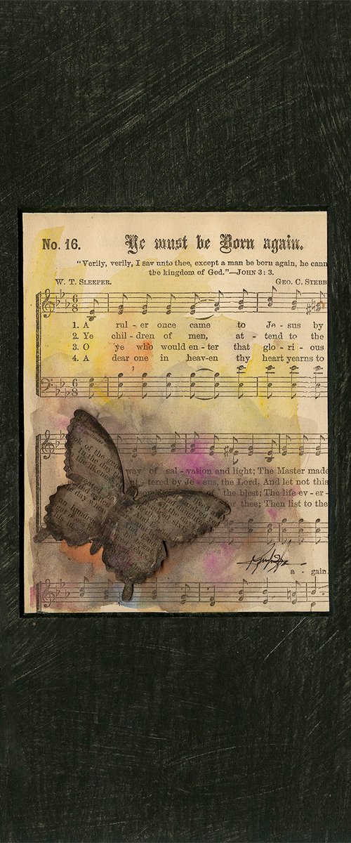Butterfly Collage 12 by Kathy Morton Stanion