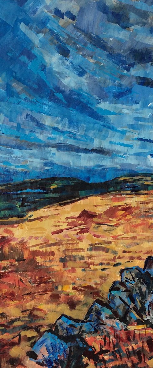 Brinscall Moor by Julia Preston