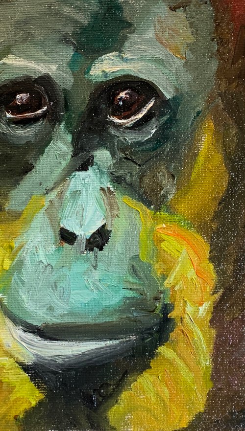 Orangutan by Ryan  Louder