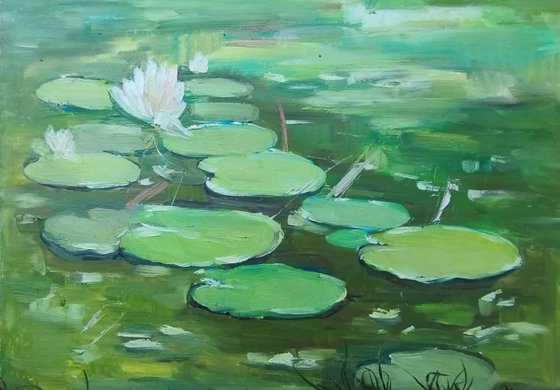 Green Water Lily
