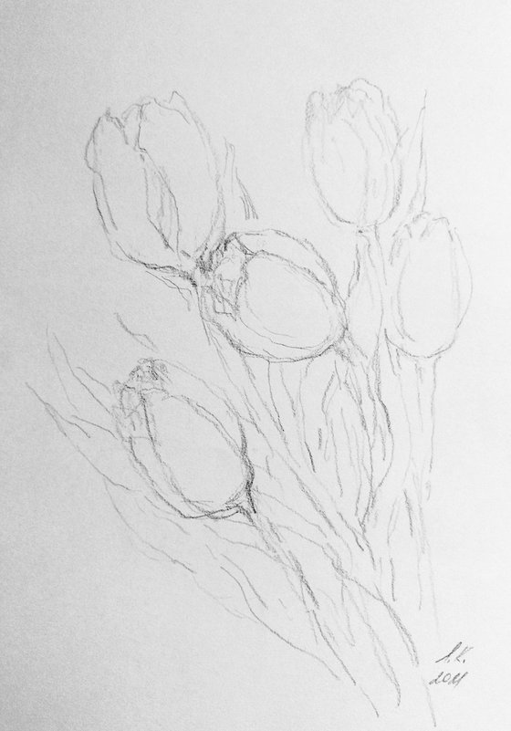 Tulipes #8. Original pencil drawing.