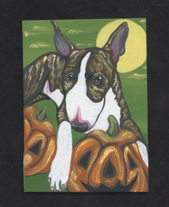 ACEO ATC Original Miniature Painting Halloween Bull Terrier Dog Art-Carla Smale