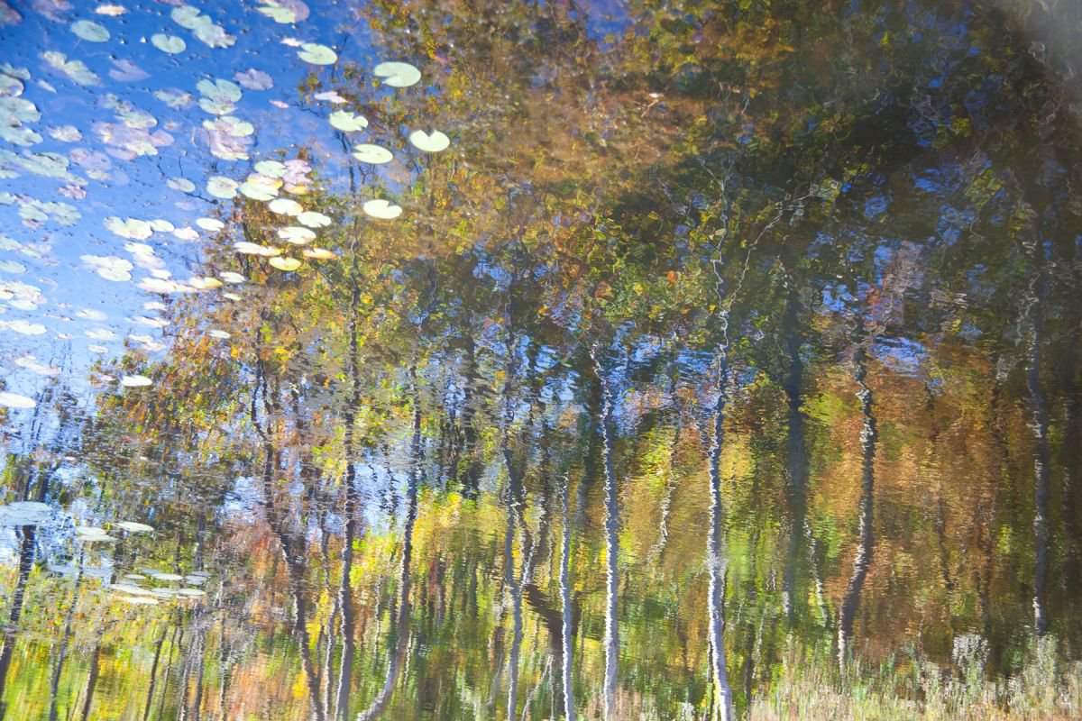 Photorealistic Landscape Photograph By Michael Filonow, 26 X 18", Reflection 8, Original Artwork