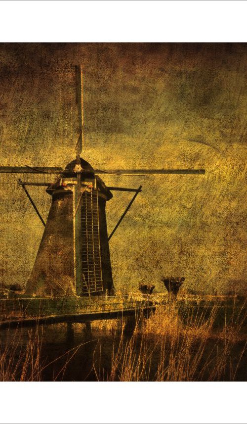 Windmills of Holland by Martin  Fry