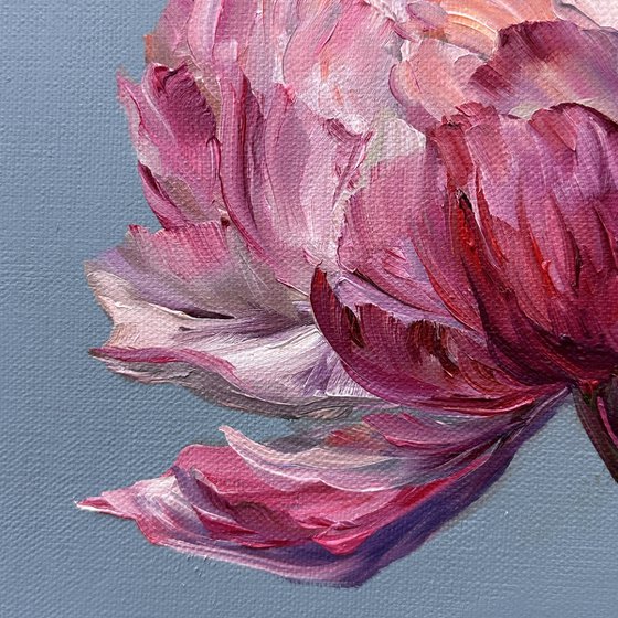 Delicate pink peony