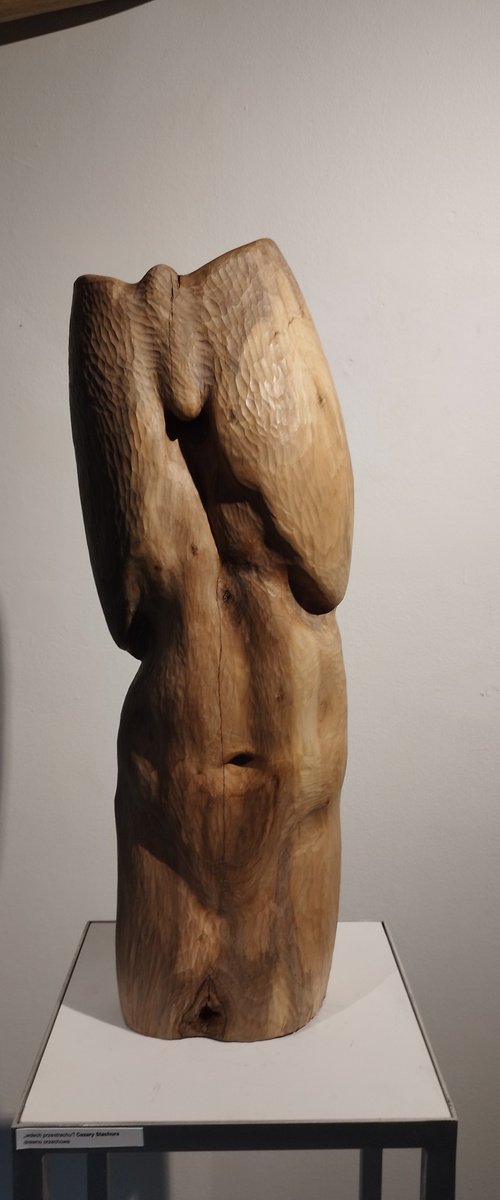 Torso by Cezary Stachura