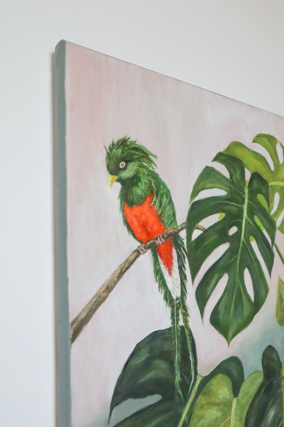 Monstera with Parrot