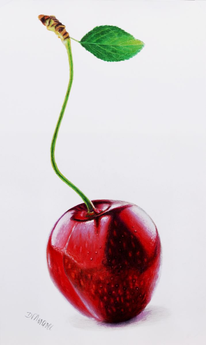 Single Cherry by Dietrich Moravec