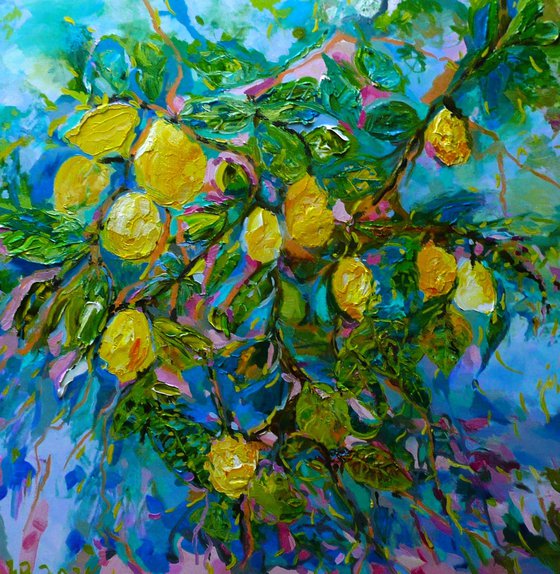 Sicilian Lemons 2024