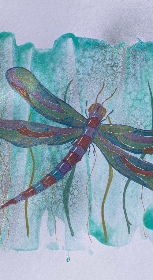 Dragonfly by Ruth Searle