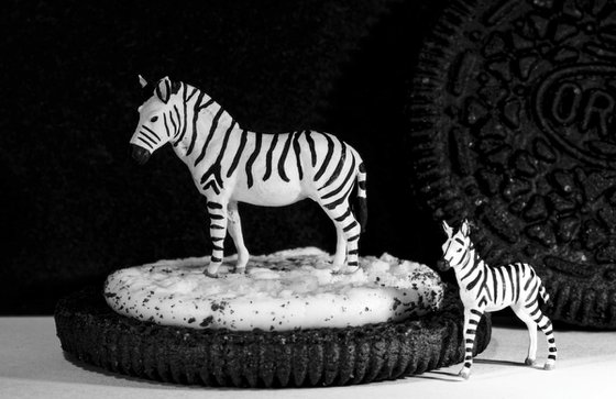 Zebra Cookie