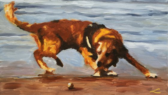 Dog with a ball 2
