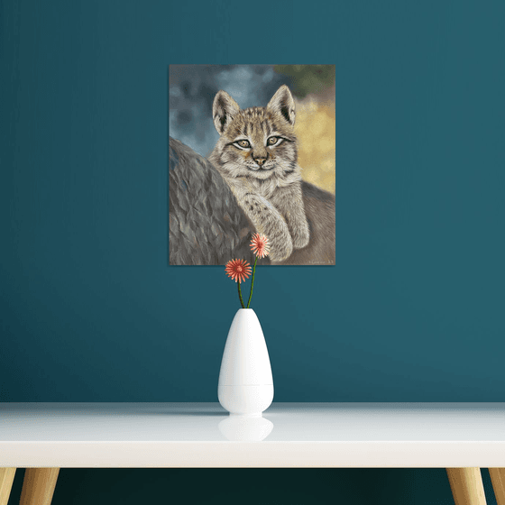 Young Lynx