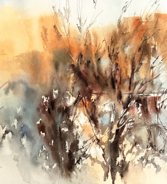 Winter Trees